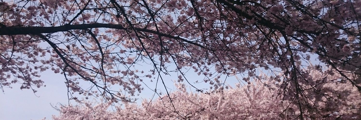 ErinPassmore's profile banner image