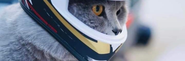 rian_nanda7's profile banner image