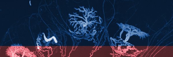 MBPatUofT Profile Banner