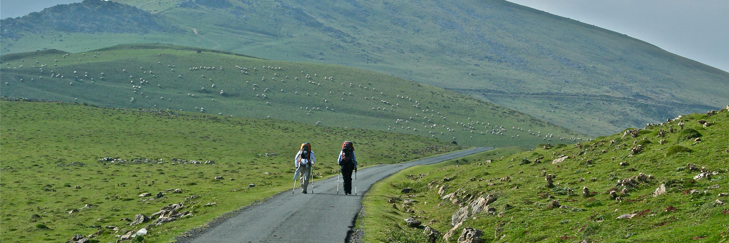 CaminoProvision's profile banner image