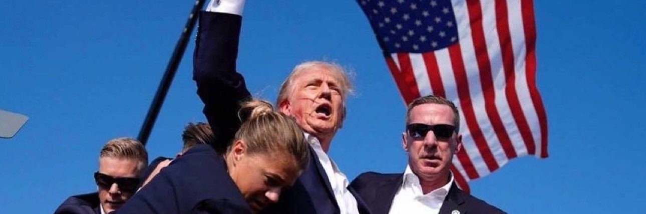 Laura Dent 🇺🇸🇺🇸🇺🇸 banner