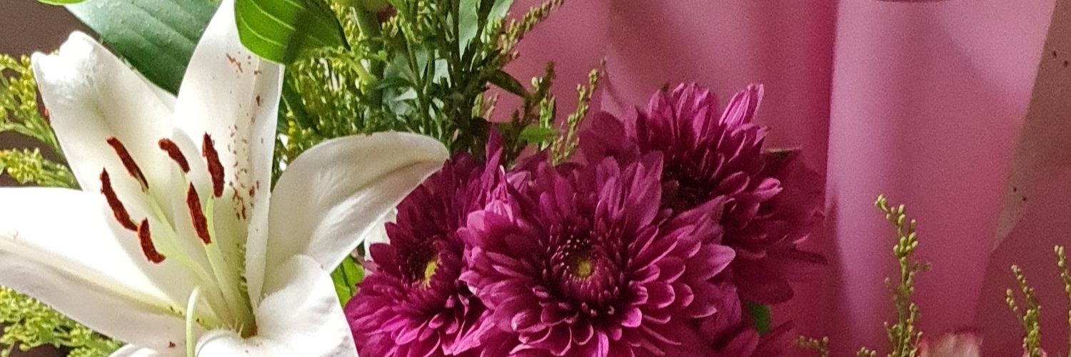 Solvanya1's profile banner image