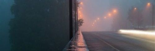 joey banner