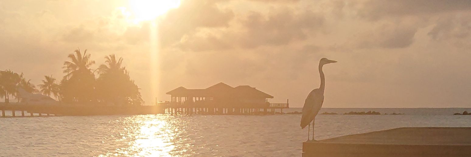 Graham Bradley banner