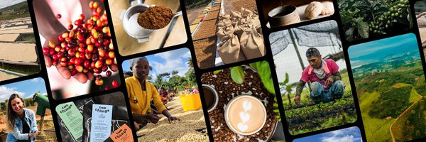 twochimpscoffee Profile Banner