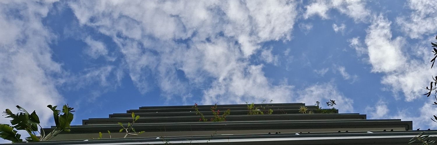 🏴‍☠️jake banner