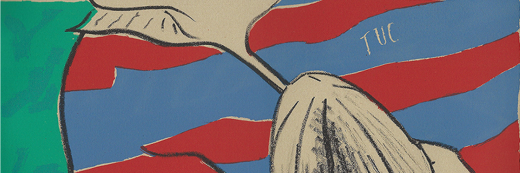 TucRugby's profile banner image