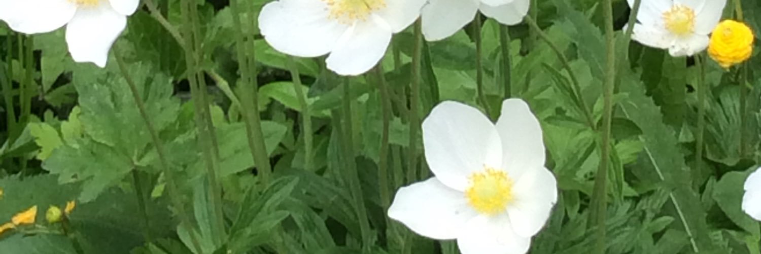 __53253173's profile banner image