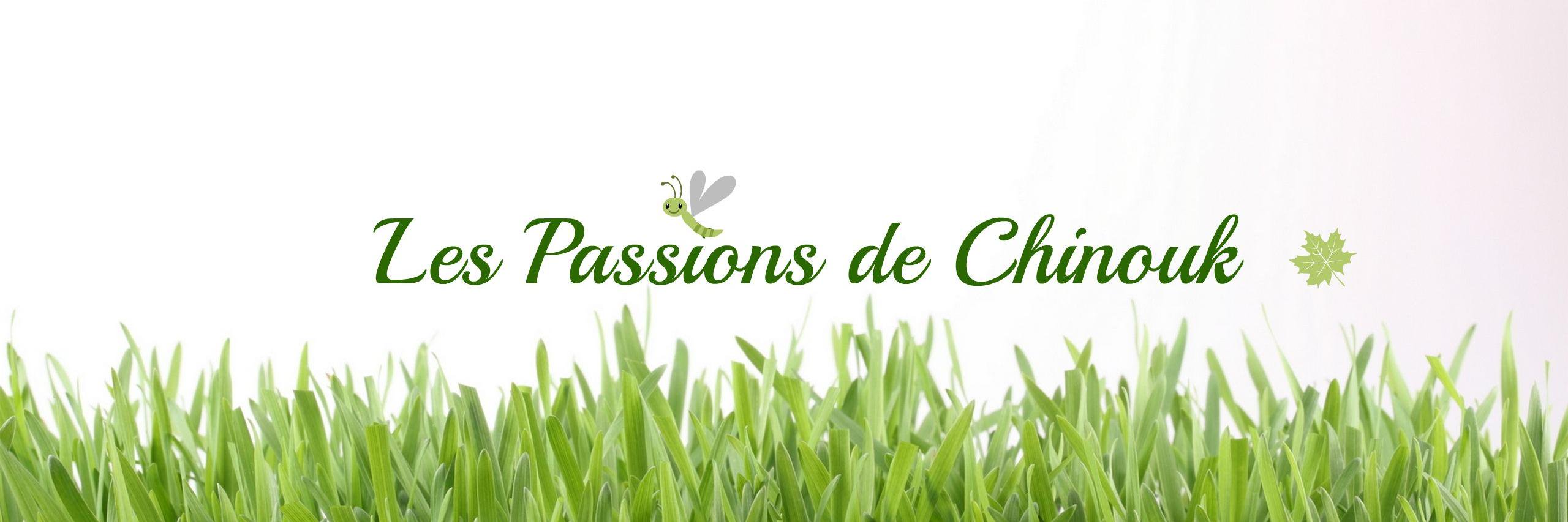 PassionsChinouk's profile banner image