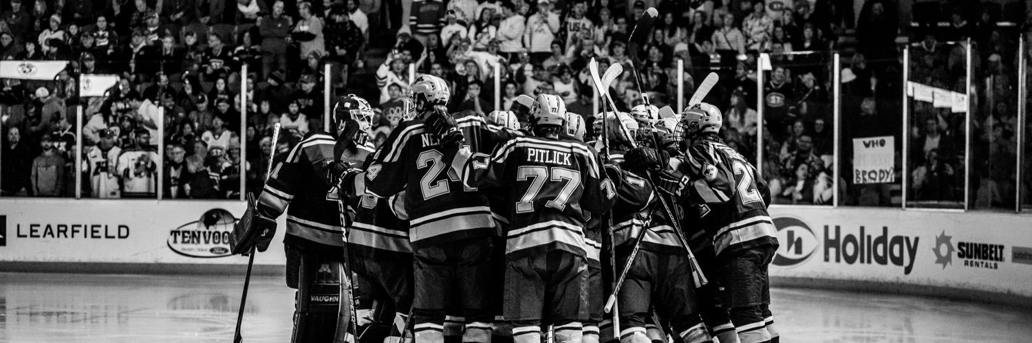 Brianna Burnham banner