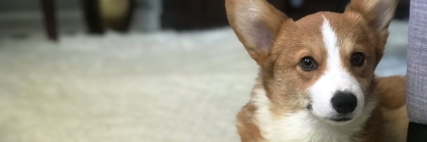 c_bart16's profile banner image