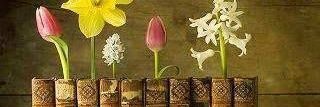 Gemamerche's profile banner image