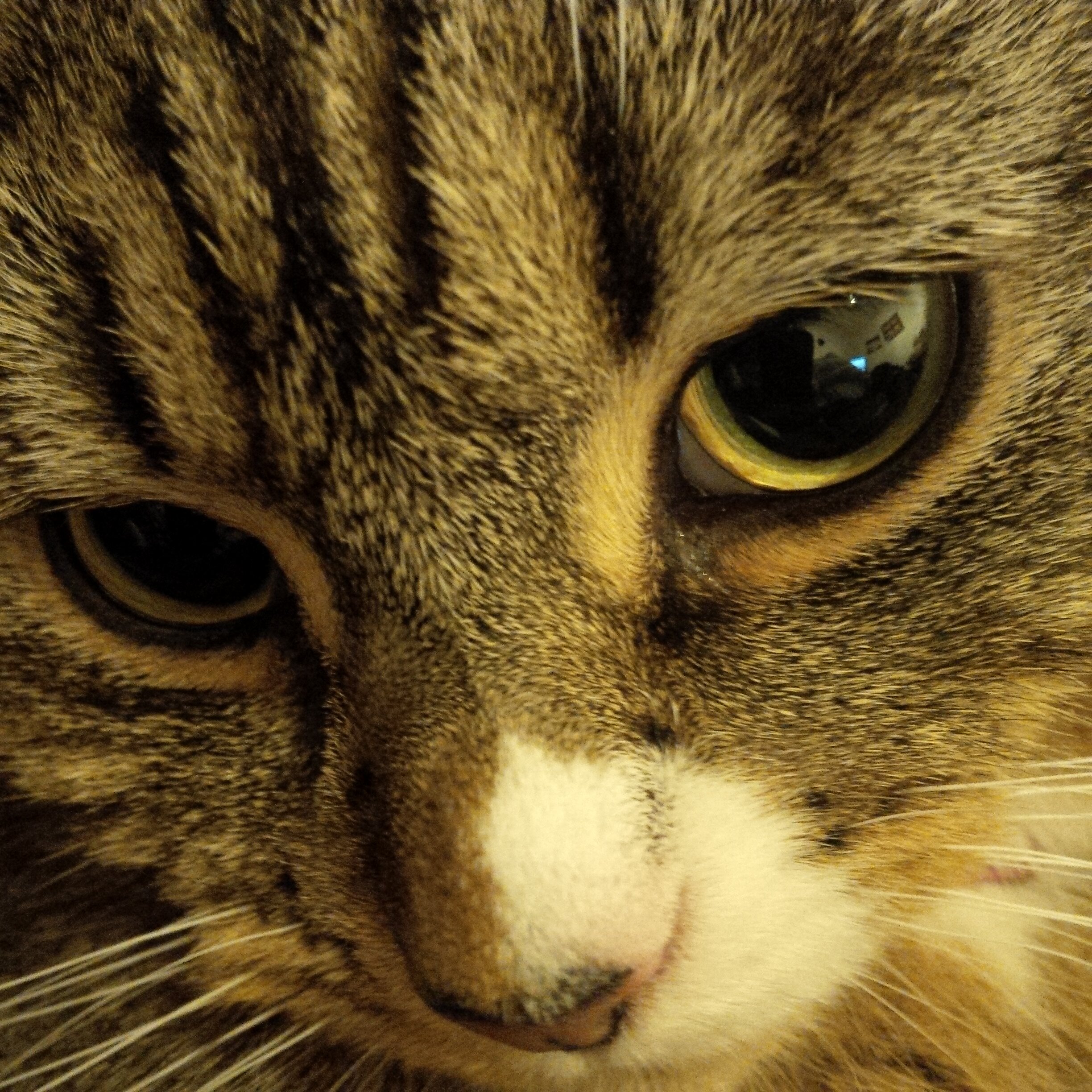 Gemsqaush's profile banner image