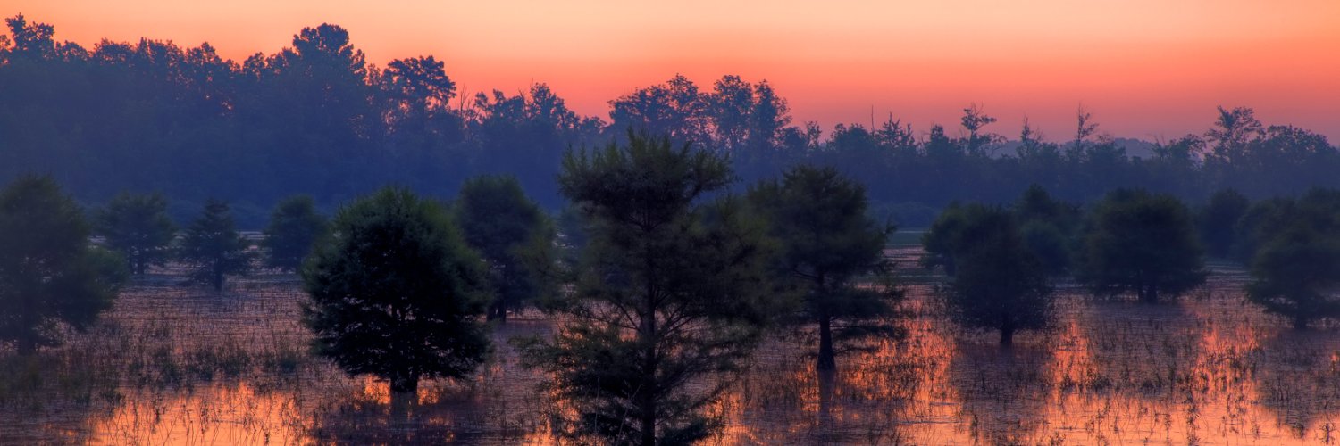 twradirector's profile banner image