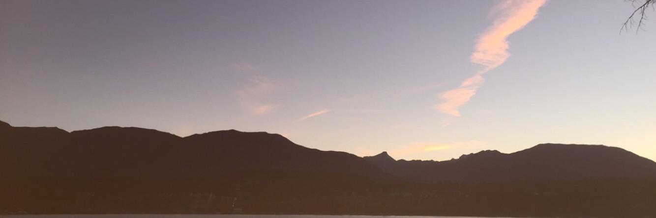 Nicolette_Seper's profile banner image