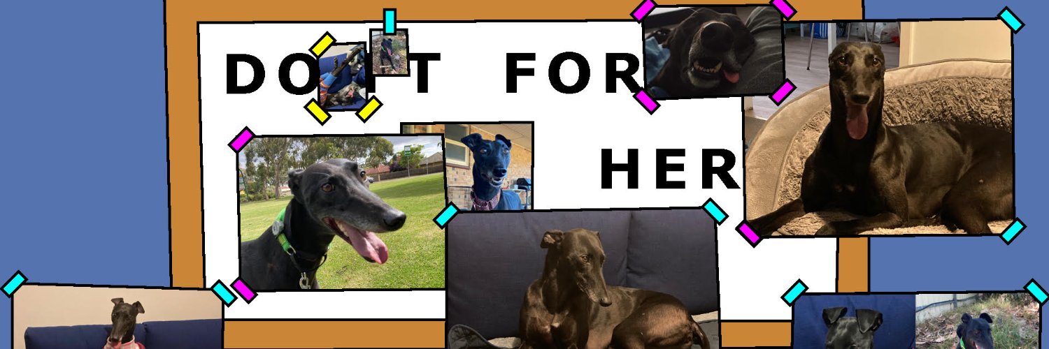 officialcazlet's profile banner image