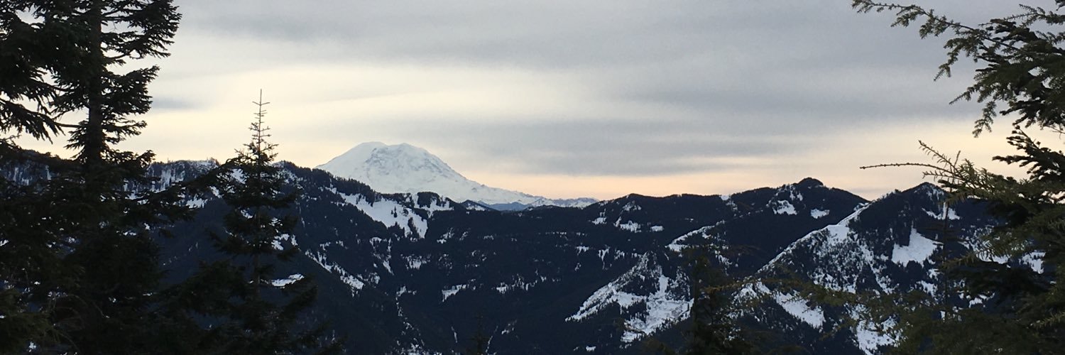 feSNOW's profile banner image