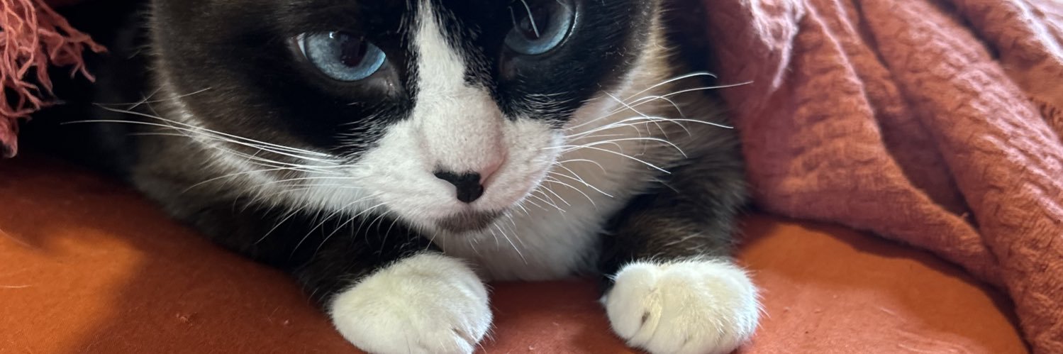 mahfalopa's profile banner image