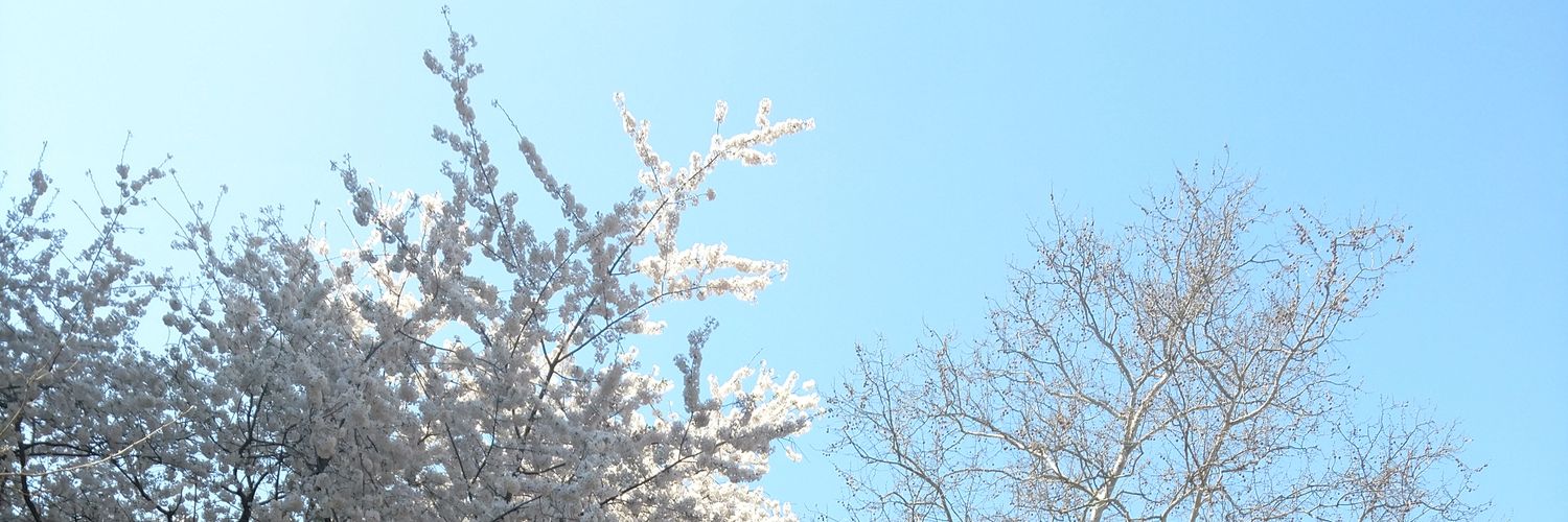 arcticcruzing's profile banner image