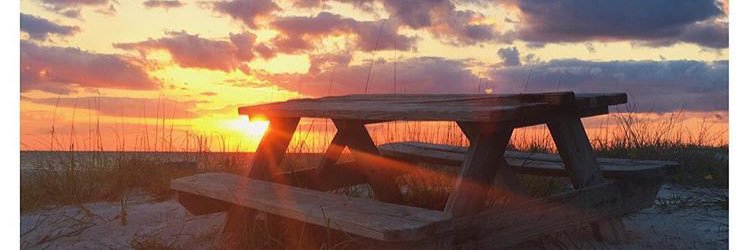 lizziebarcc's profile banner image