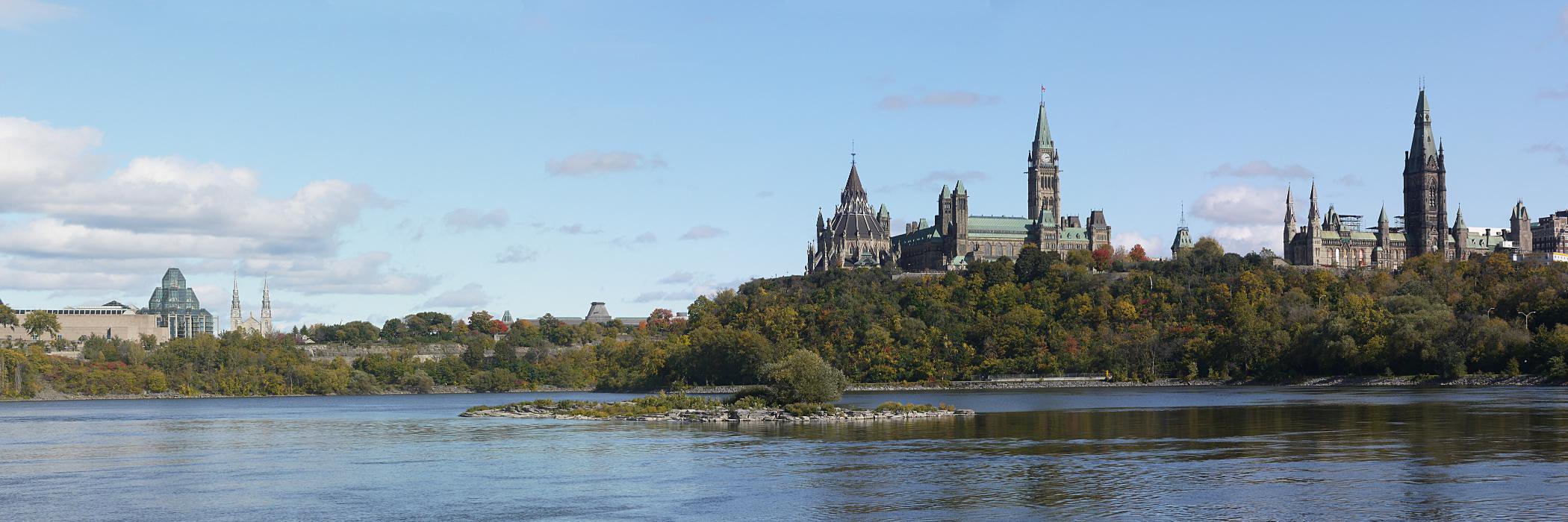 Derrick Matthew Buchanan PhD Neuroscience banner
