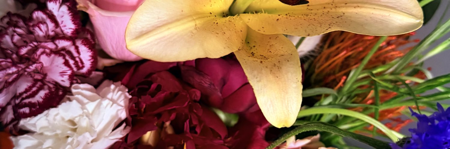 🅜🅐🅞 🅜🅐🅞 ⚘ banner