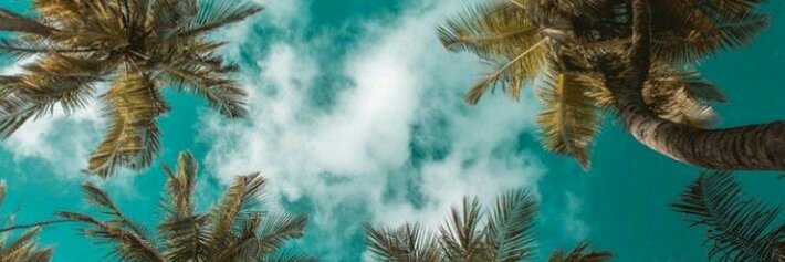 Sabrinaechave's profile banner image