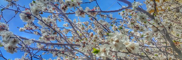 LebanonEguide Profile Banner