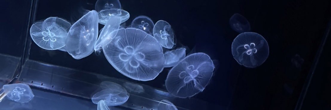 R. banner