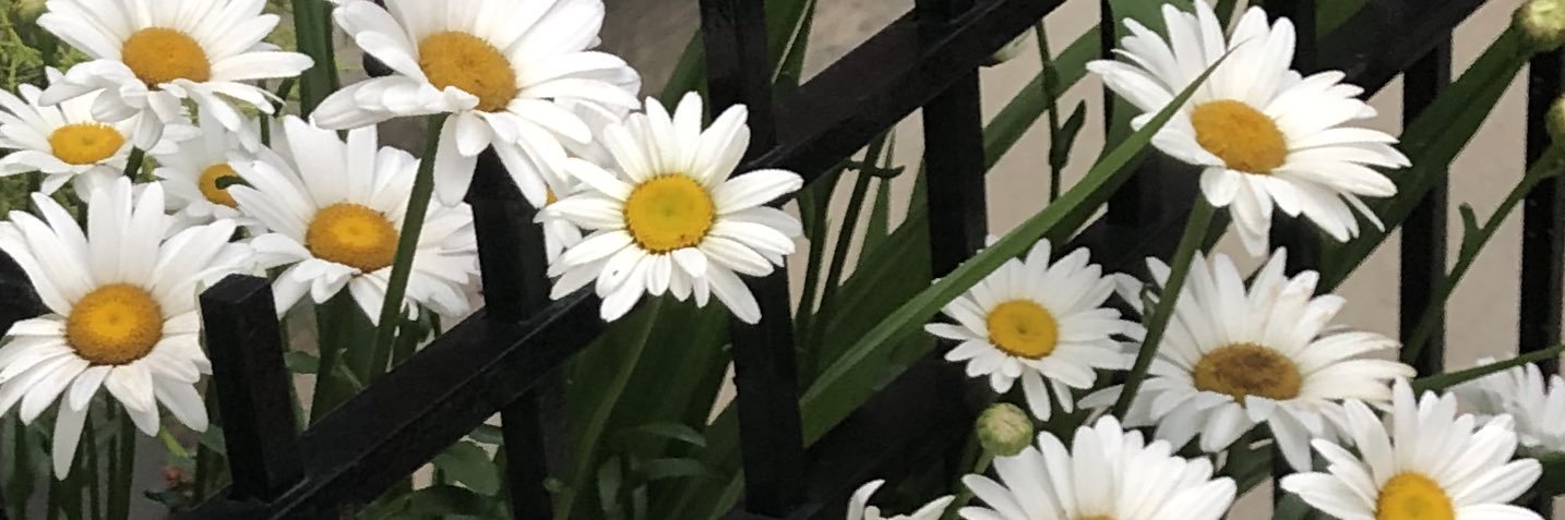 g_FREErunnin's profile banner image