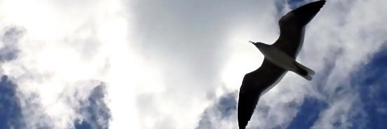 juha_kuurne's profile banner image