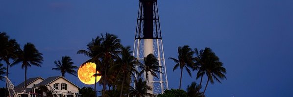 debbiedfla's profile banner image