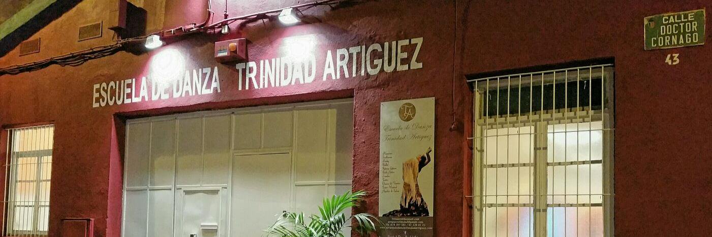 danza_escuela's profile banner image