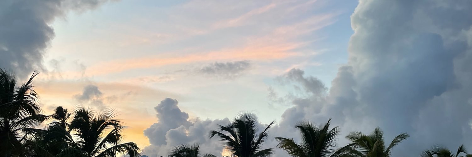 chlllo_'s profile banner image