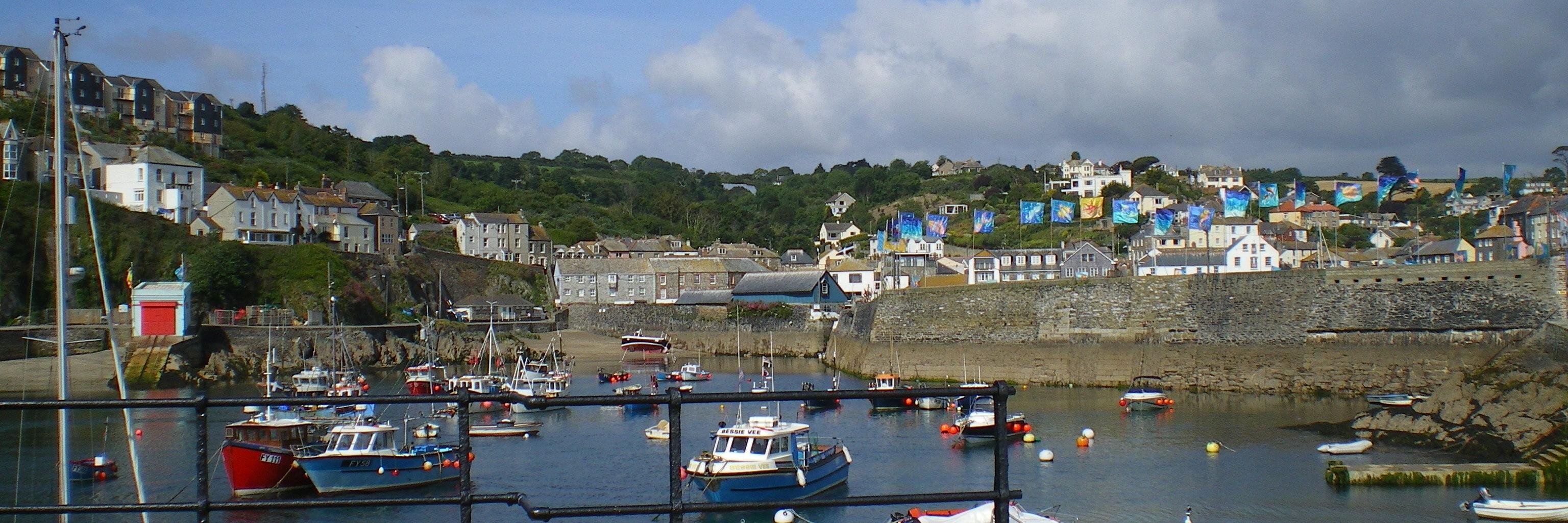 Angela Britnell banner