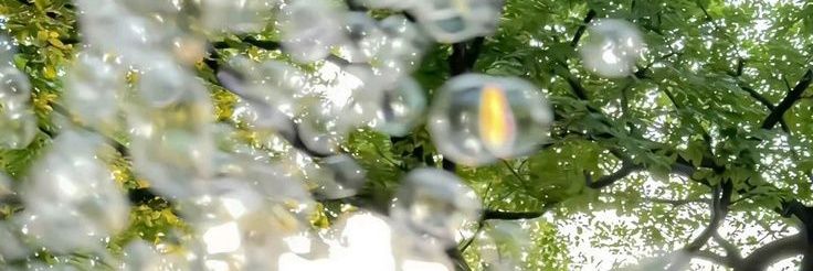saria banner
