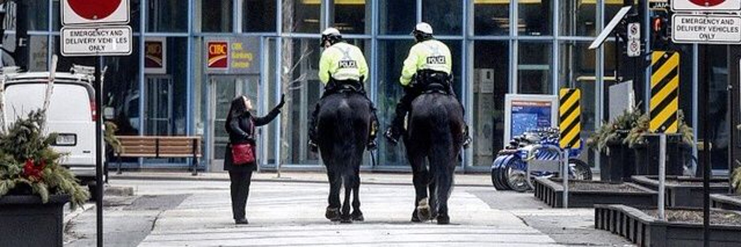 HPS Mounted Patrol Profile Banner