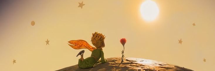 rosaurapinto's profile banner image
