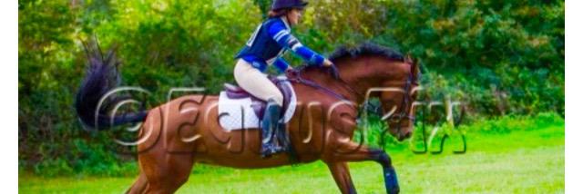 Robyn Keily banner