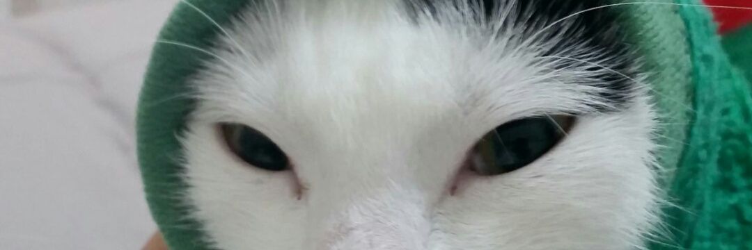 BayCEVİZ(W140 gibi herif) banner