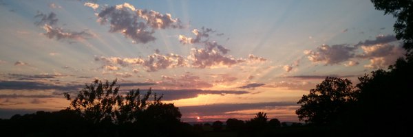 PipCannons Profile Banner