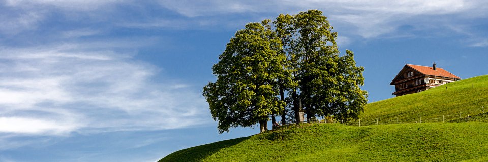 AlunaxPubli's profile banner image