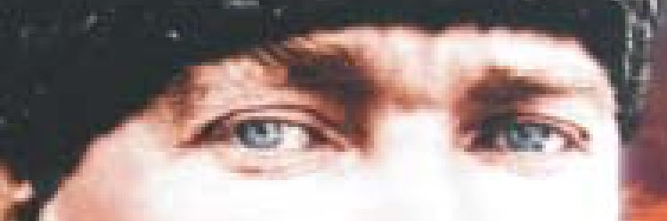 sefayurtbasi's profile banner image