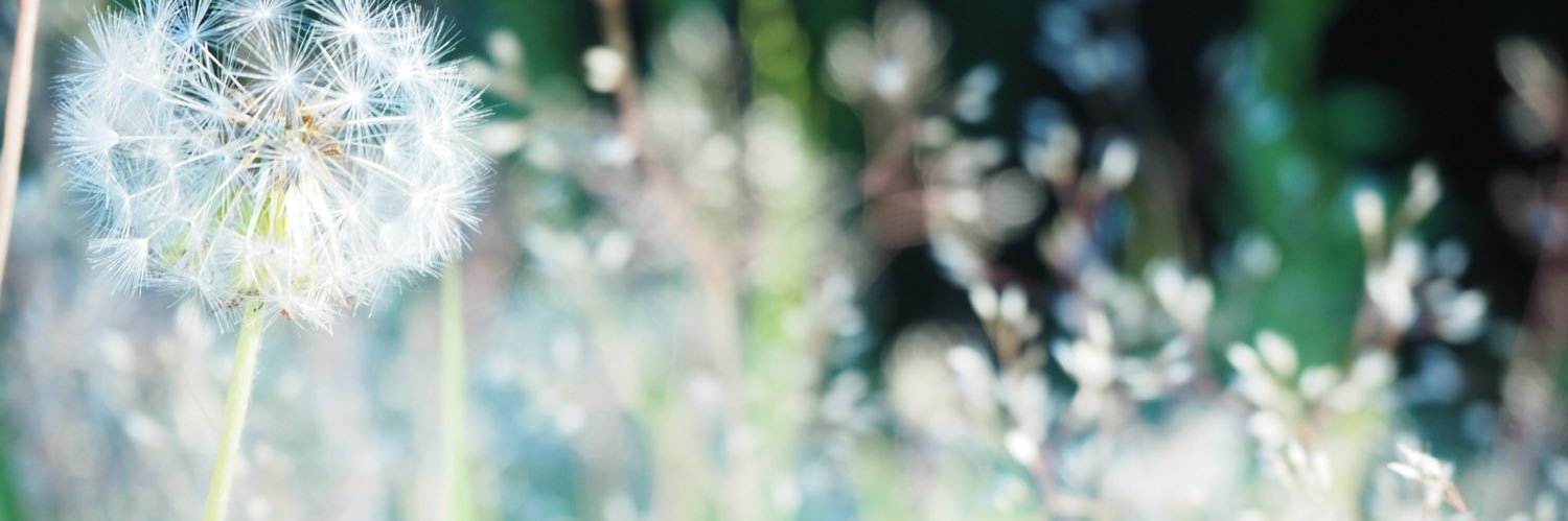 misako_33524's profile banner image