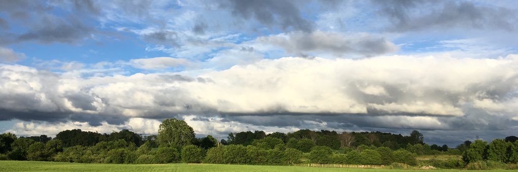 ChristieCoffey's profile banner image