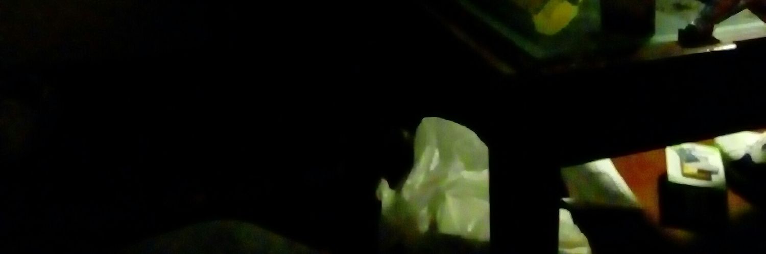 Free_Raccz's profile banner image