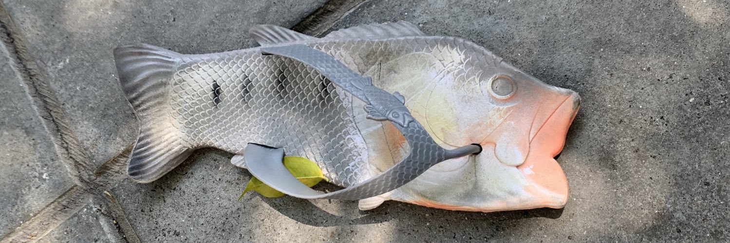 CaluDelfino's profile banner image