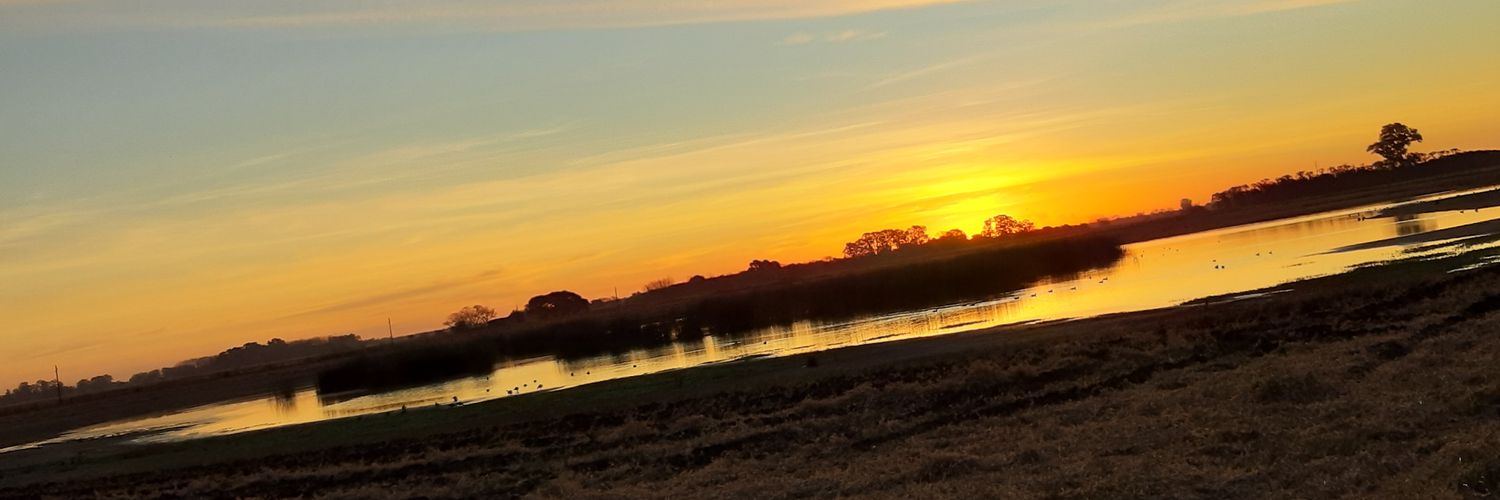 africanusesc's profile banner image