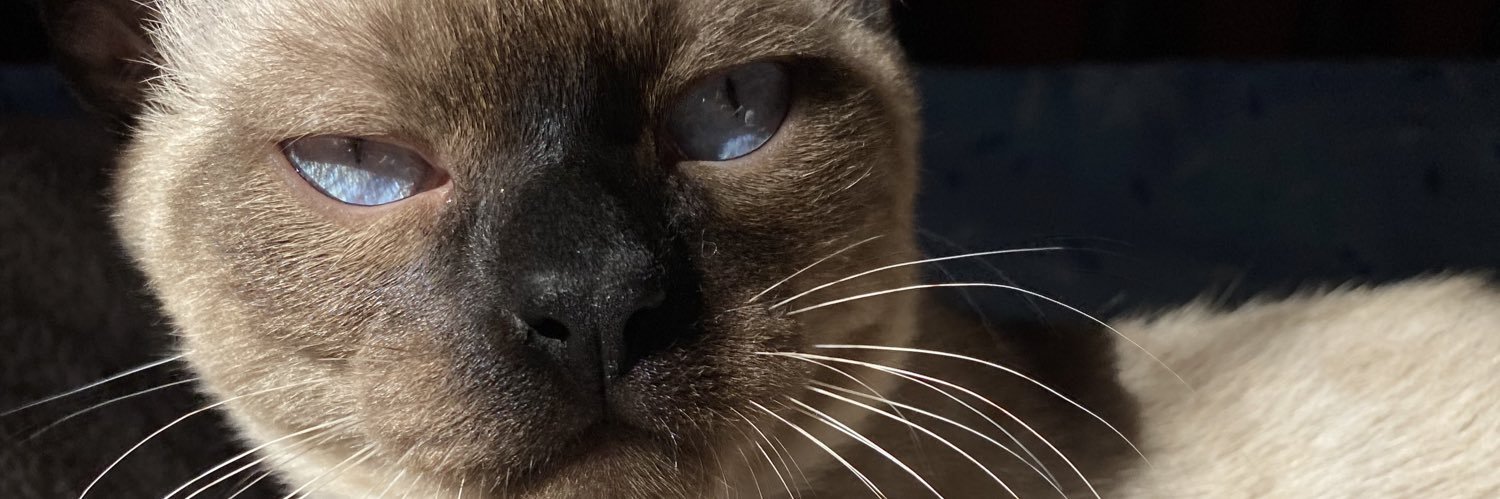 lulimolinaa's profile banner image
