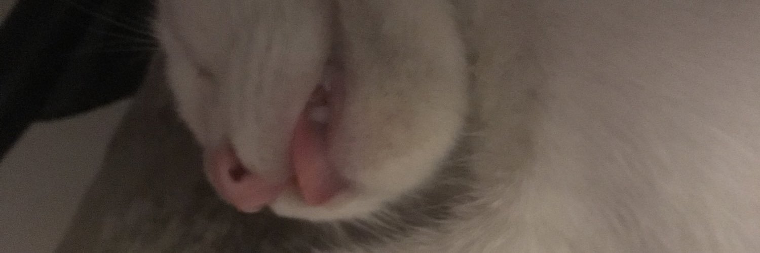ErenCy_'s profile banner image